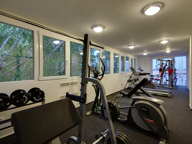 Wellness